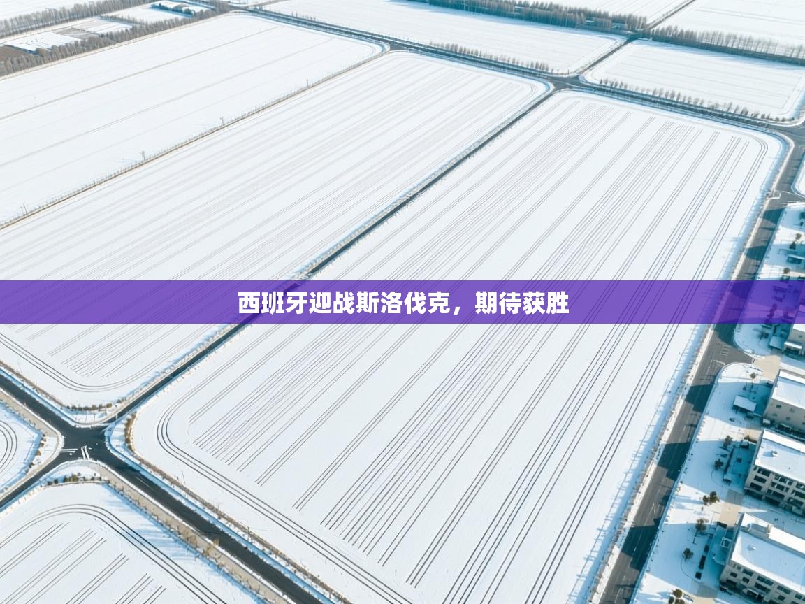 西班牙迎战斯洛伐克,期待获胜 第1张