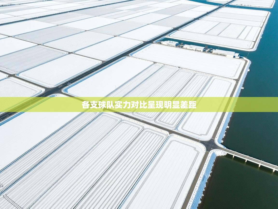 各支球队实力对比呈现明显差距  第2张