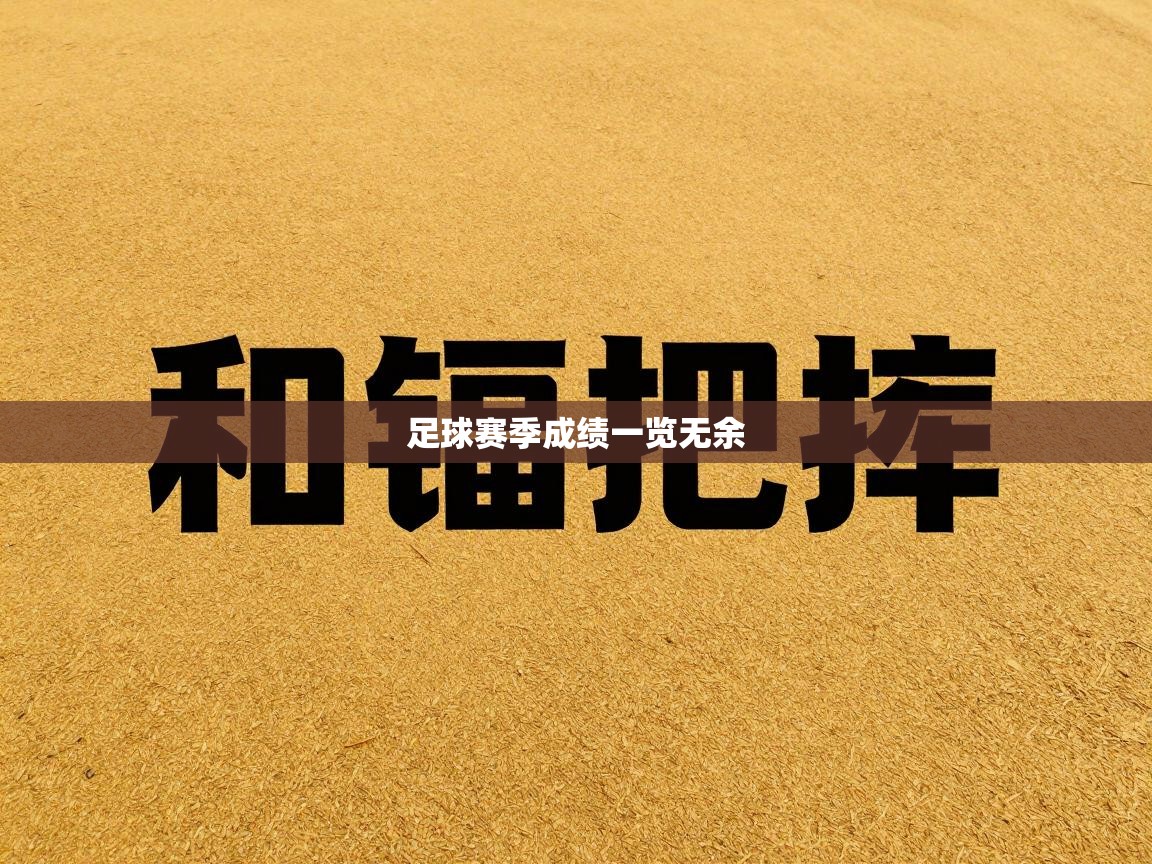 足球赛季成绩一览无余  第2张