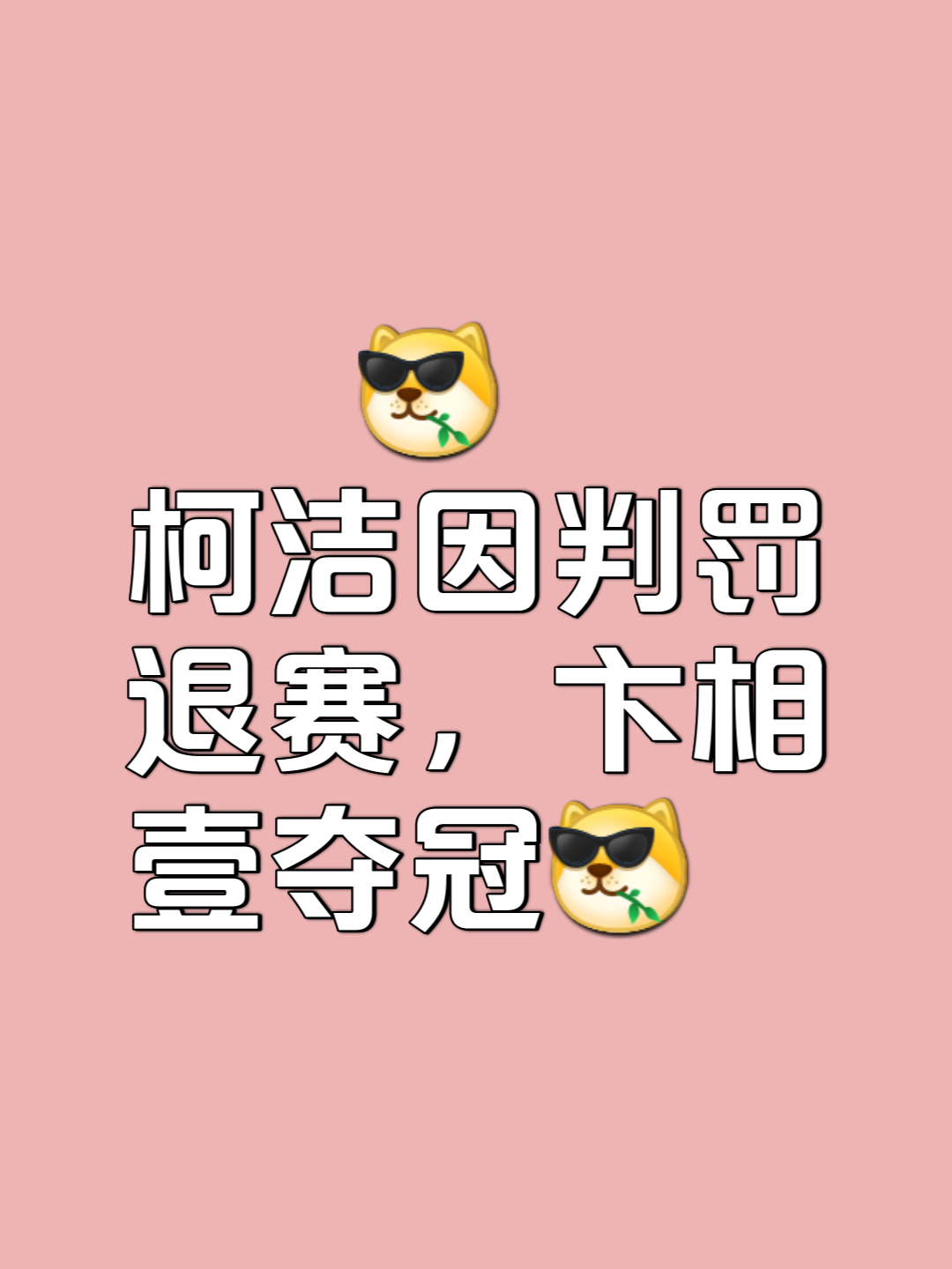 实力悬殊对决却扣人心弦，胜负难以预测的简单介绍
